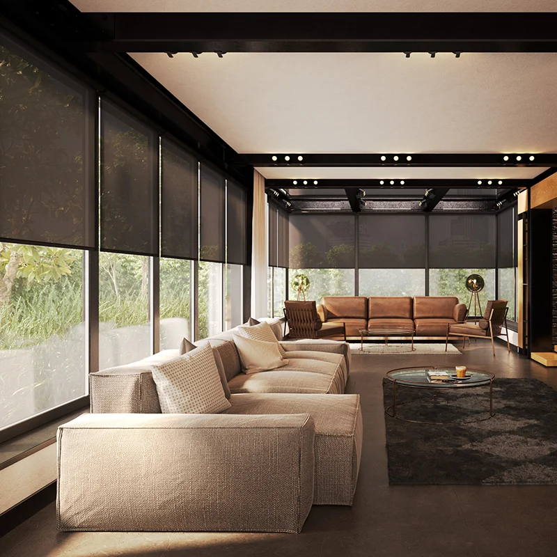Motorized Shades